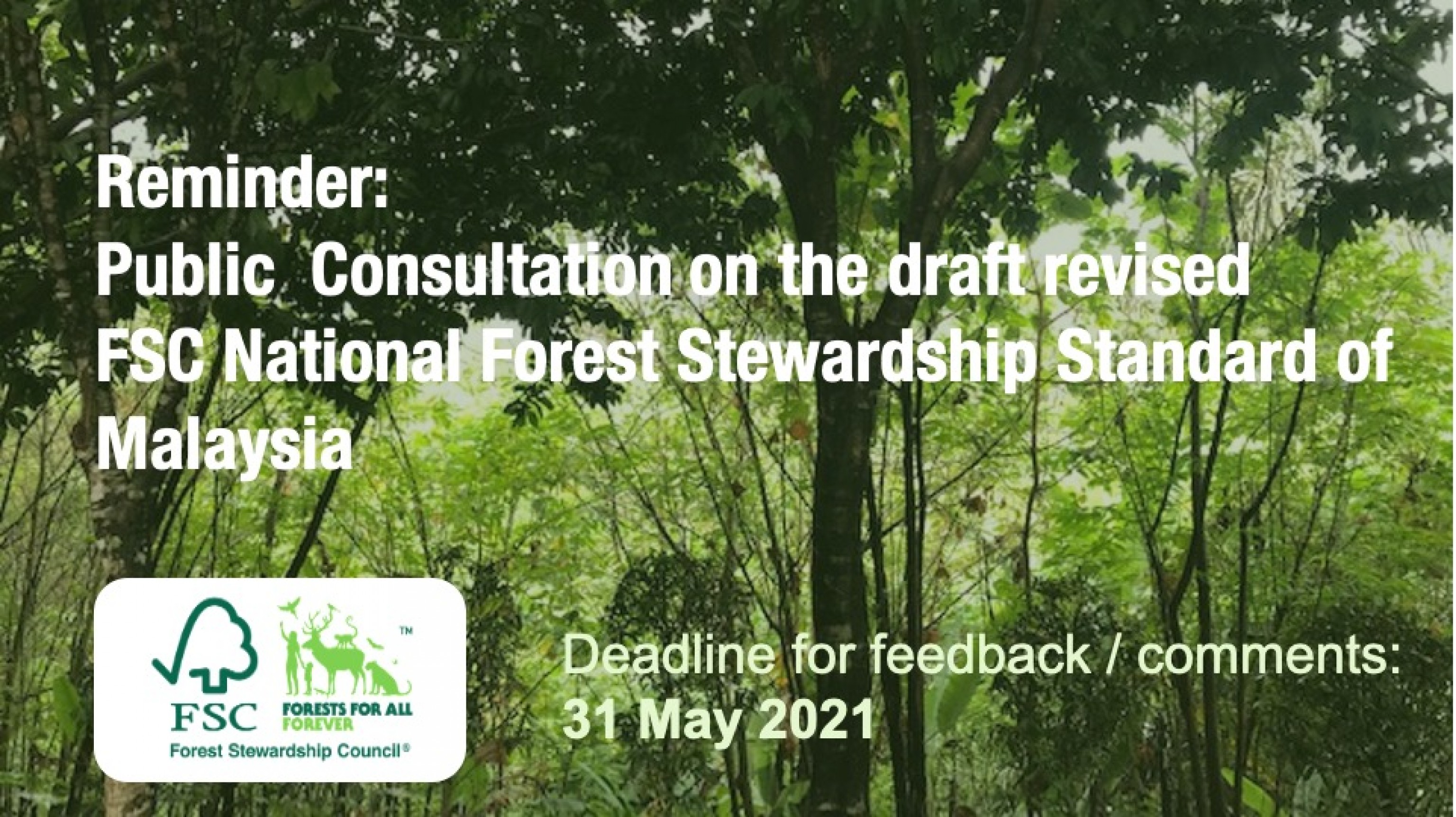 Reminder: Public Consultation On The Draft Revised FSC National Forest ...