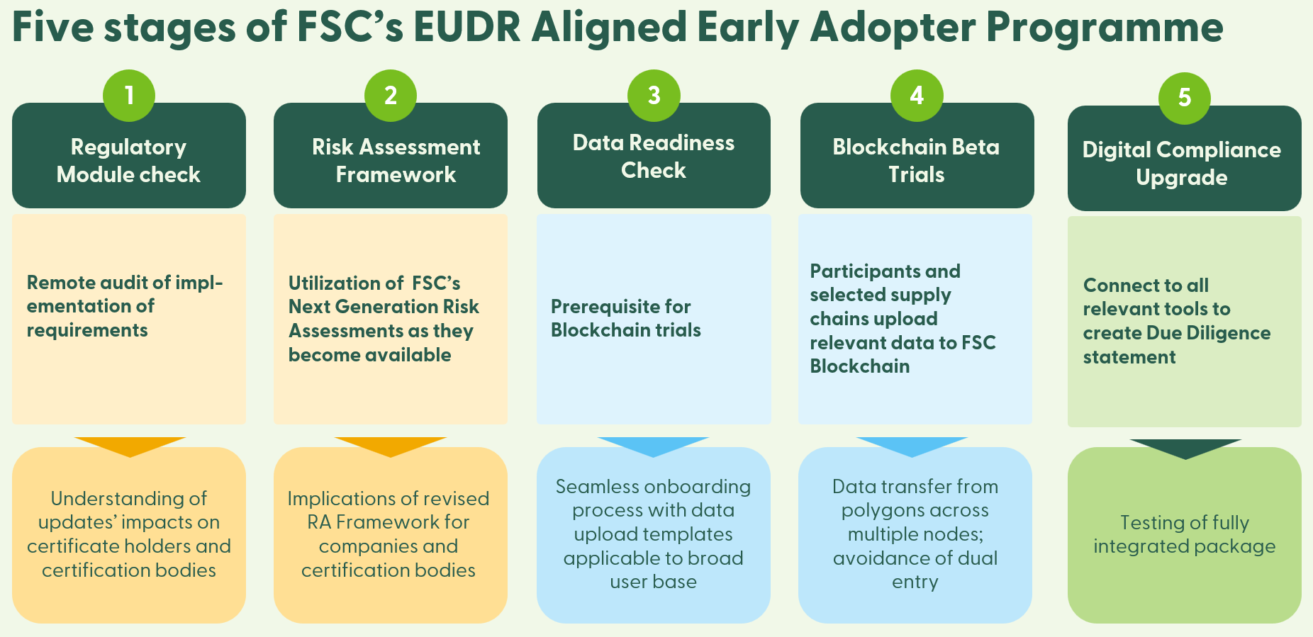 EUDR Early Adopter