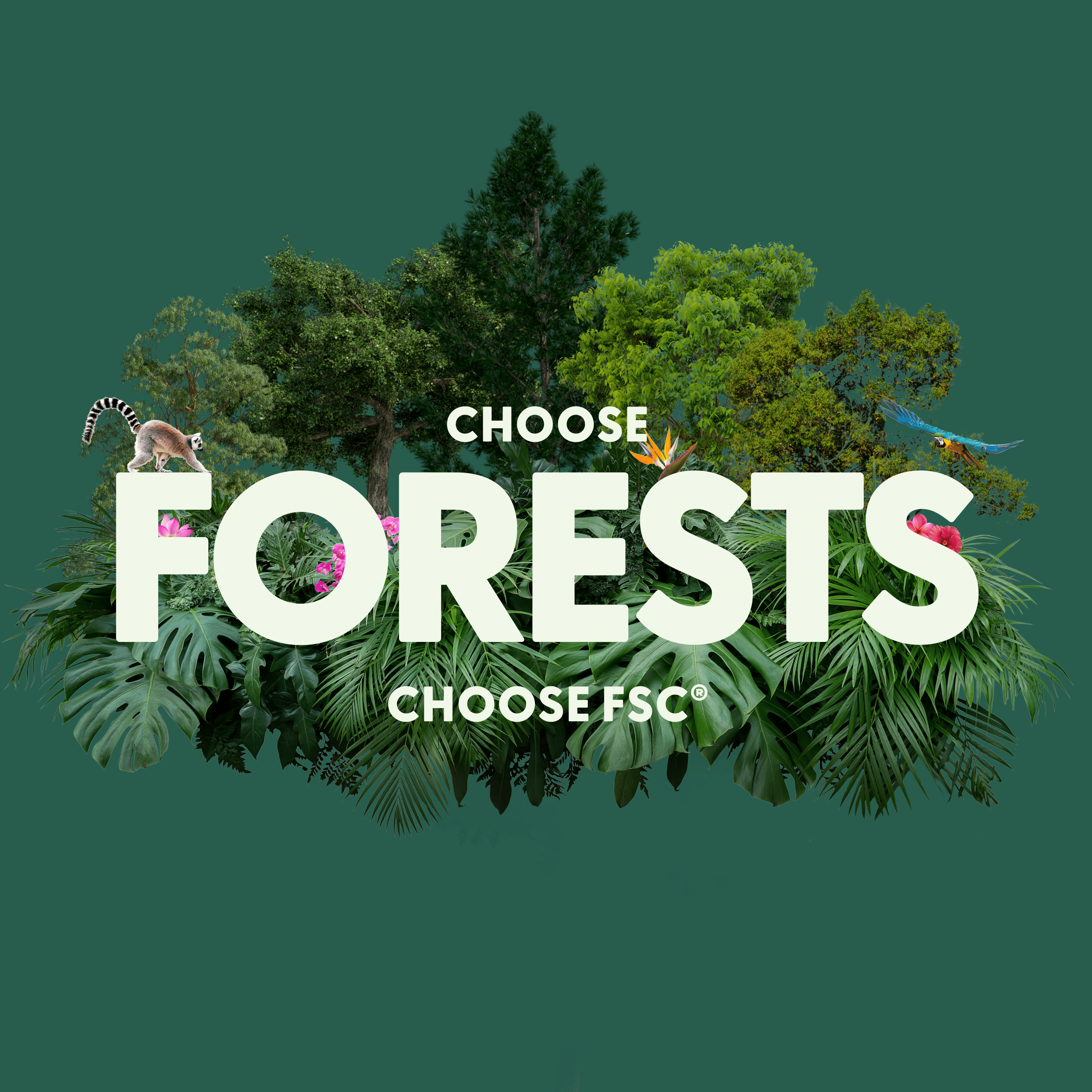 Choose Forests, Choose FSC