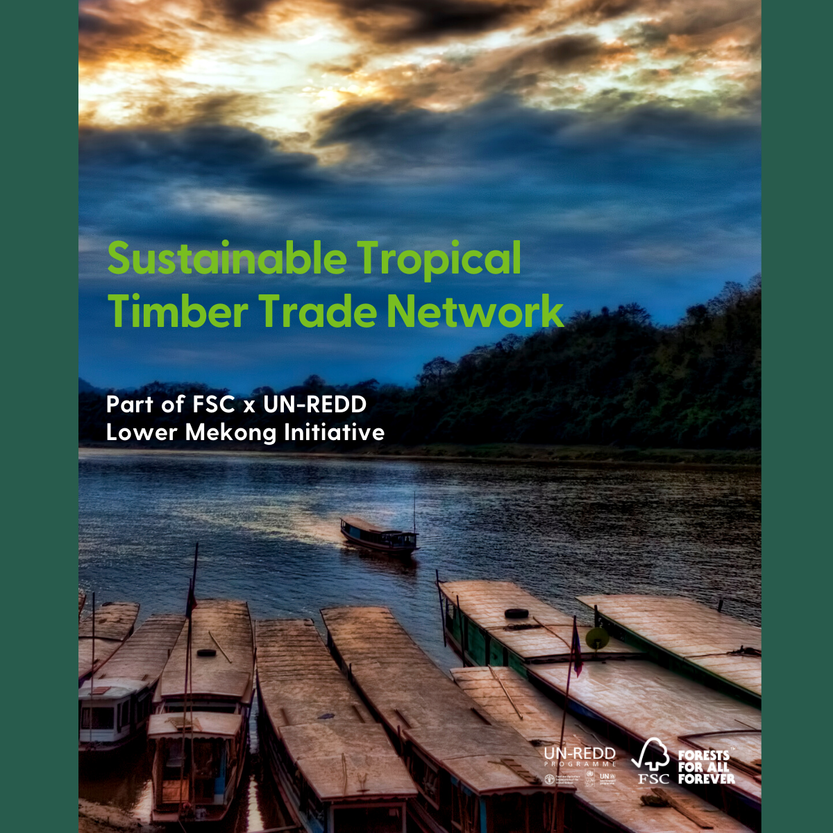 Timber Trade Network 