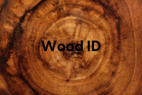 wood id