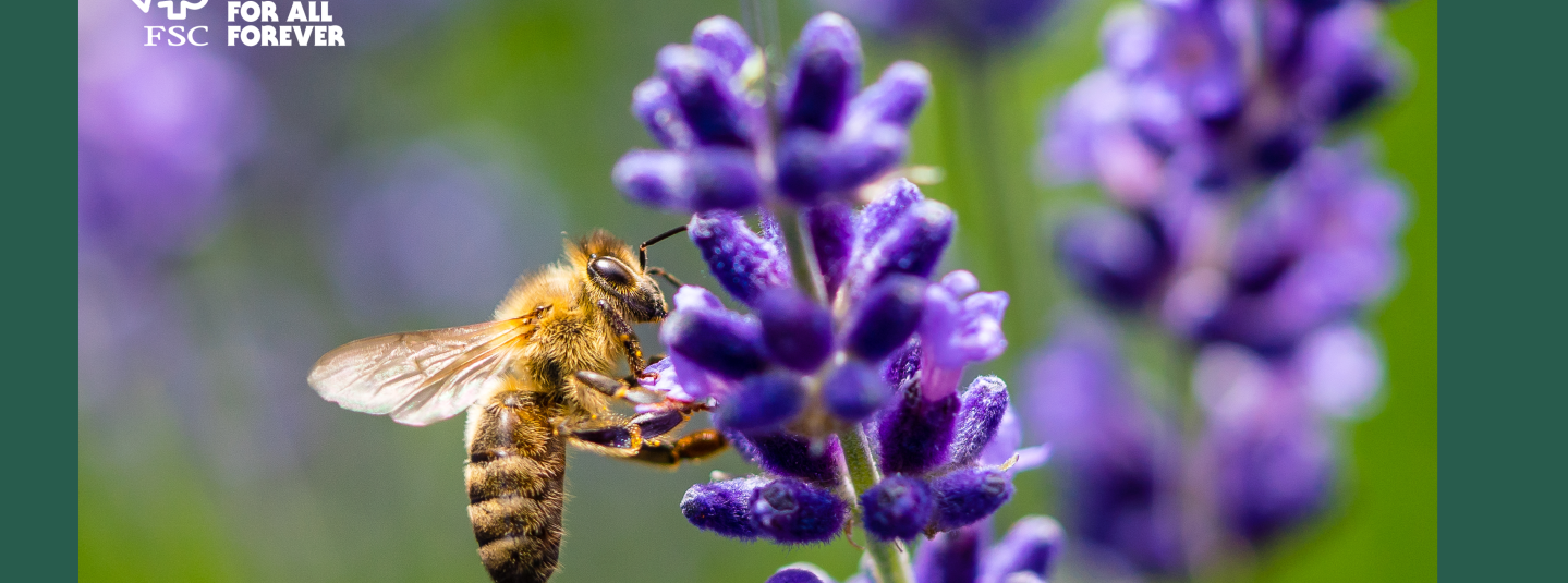 bee