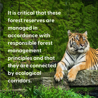 FSC can contribute positively to these forest reserves 