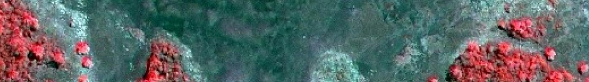 website hero image
