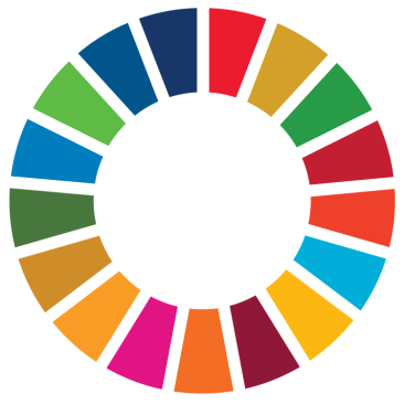 SDG wheel