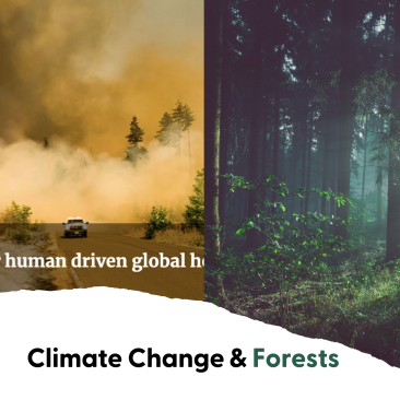 climate change